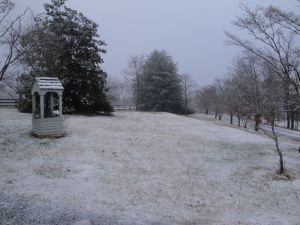 DSC07719 side yard east in winter