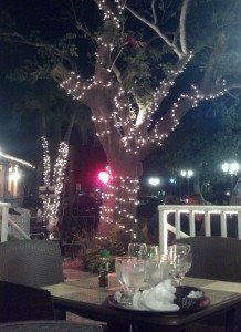 Bar & Bistro @ Marek's Terrace, Marco Island, FL