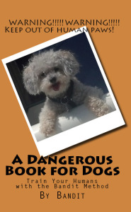 Front Cover - Full Color Edition
