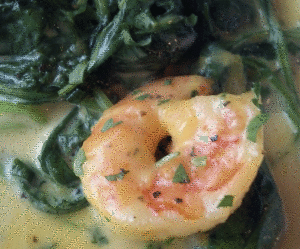 Cafe Martin Shrimp with Spinach and Alfredo1