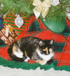 1998 Miss Money under the Christmas tree